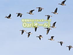 管理職向けサーベイOar