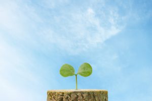 2023年3月9日開催「1年目フォロー研修」ー公開講座研修レポート